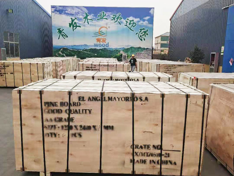 板材行業(yè)創(chuàng)新引領(lǐng)新未來(lái)，共筑綠色生態(tài)家園
